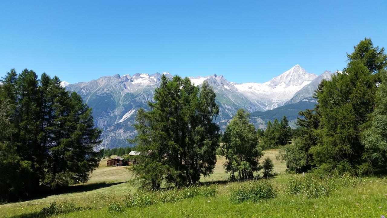 Chalet Bergmann Bürchen Kültér fotó