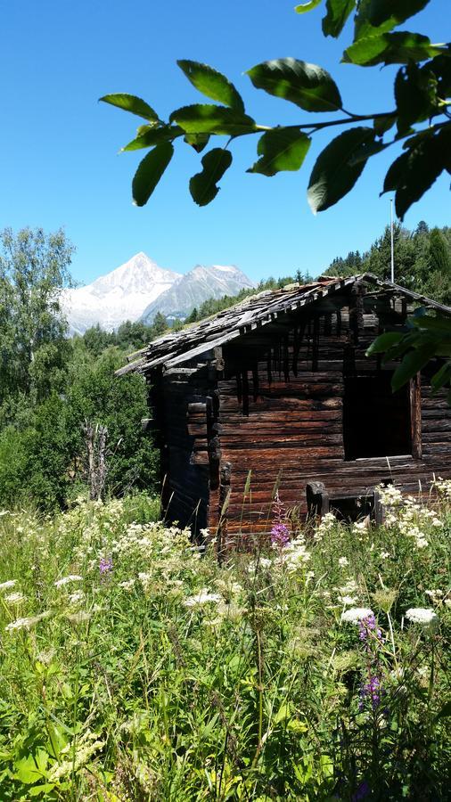 Chalet Bergmann Bürchen Kültér fotó