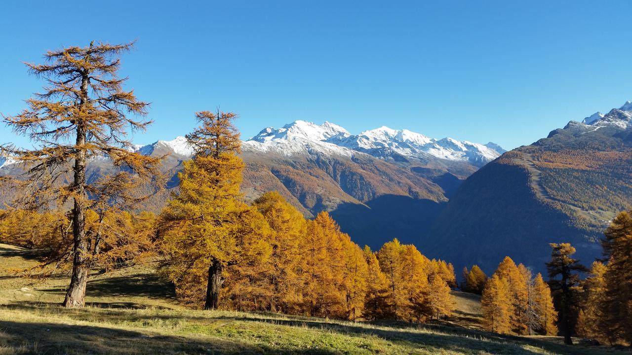 Chalet Bergmann Bürchen Kültér fotó
