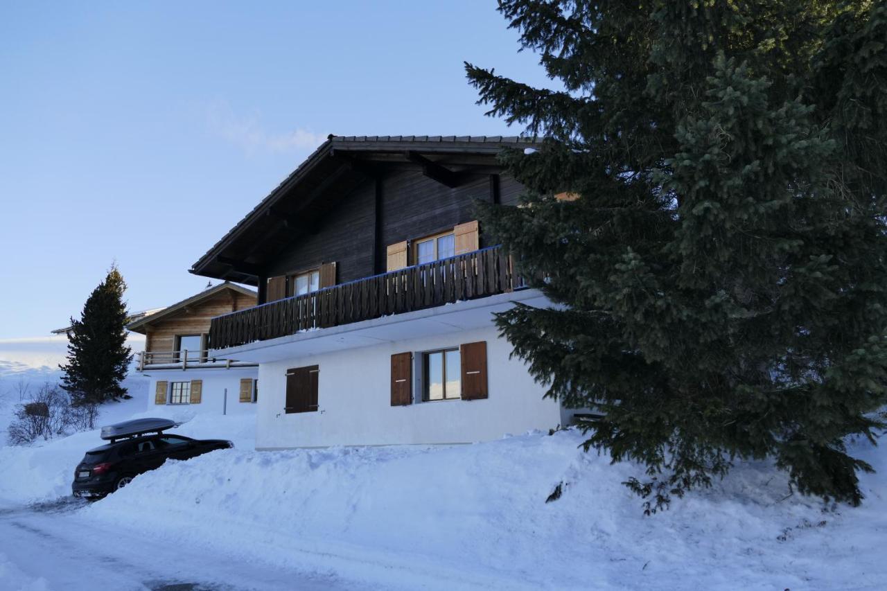 Chalet Bergmann Bürchen Kültér fotó